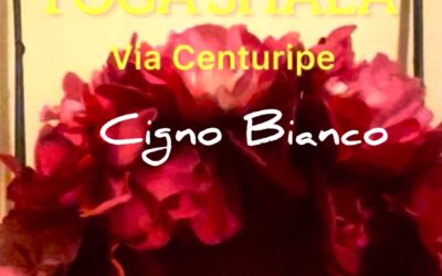 INTRODUZIONE AL PERCORSO YOGA CIGNO BIANCO: 2026-2027 DALLA MEMORIA CELLULARE DEL KARMA AL FLUSSO ALCHEMICO DEL DHARMA.